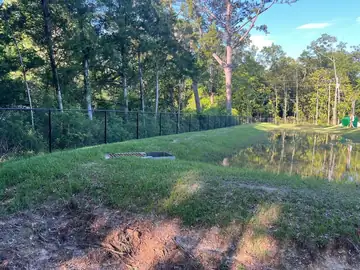 Fenced pond edge in woodland