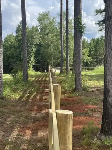 Post and rail fence going in through pine timber