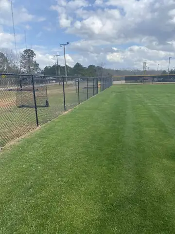Black perimeter fence beside a mown sports field