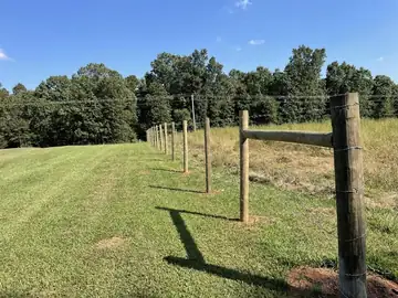 Field wire fence along a pasture edge
