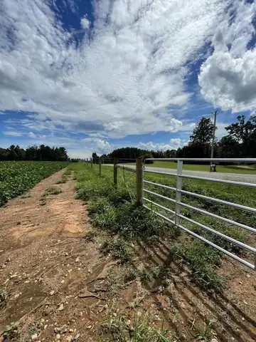 Wire line fence along a rural roadside