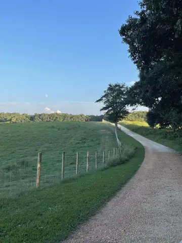 Wire fence beside a gravel farm track