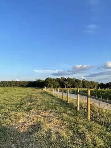 Field fence running beside a paved rural road