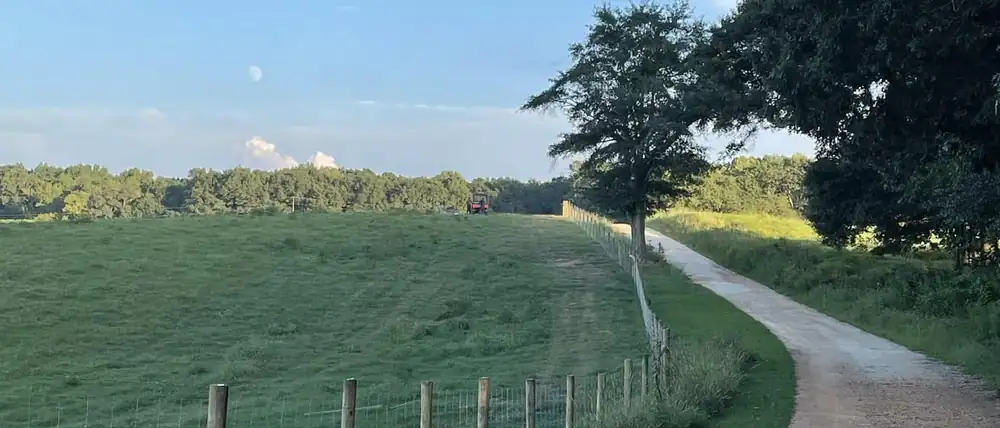 Wire fence running along a rural Alabama road